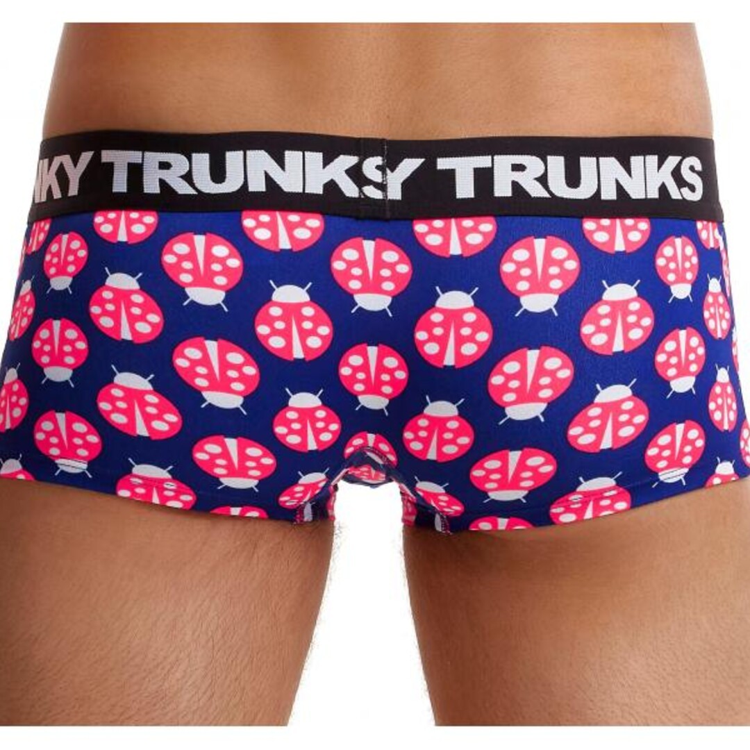Been Bugged Boy's Underwear Trunks