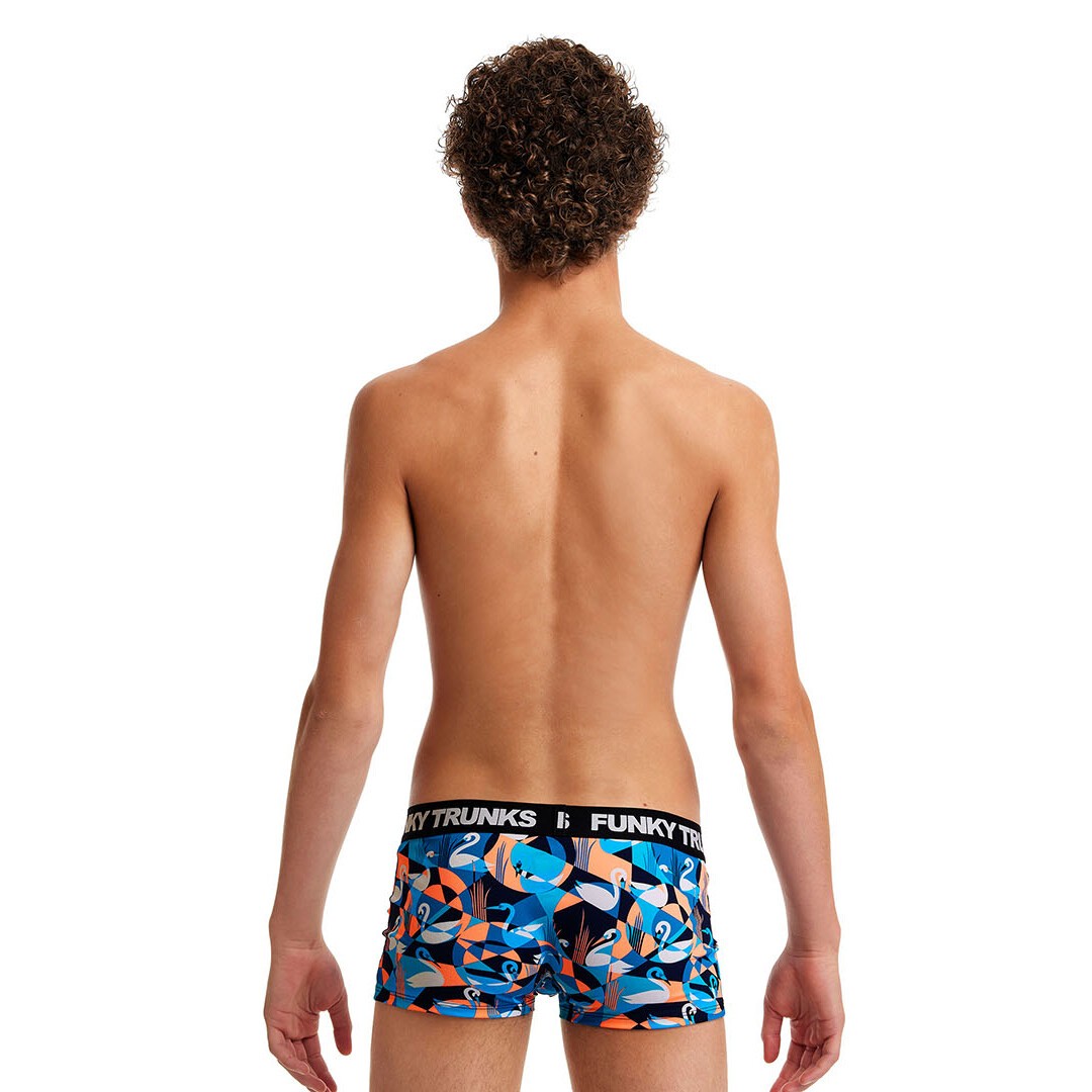 Swan Song Boy's Underwear Trunks